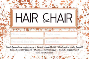 Hairchair Bronze Member